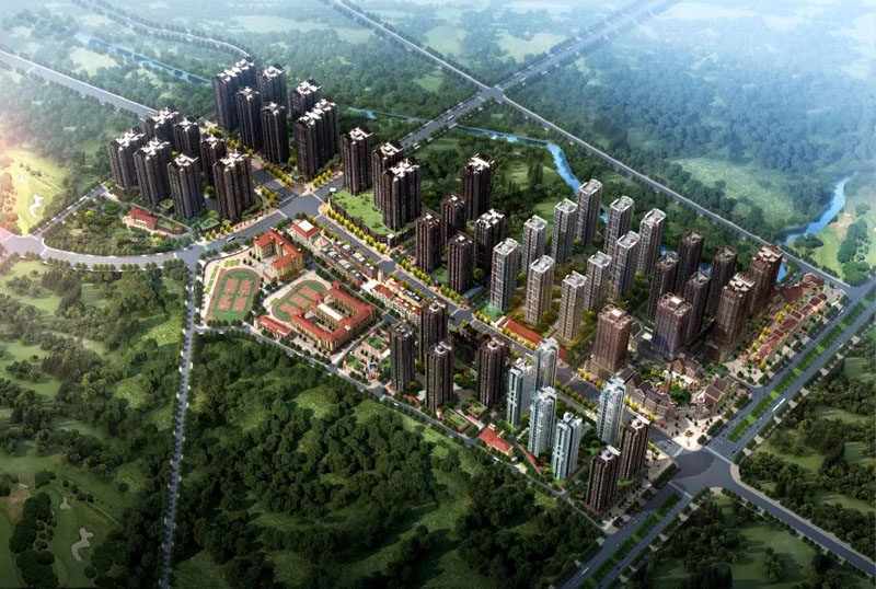 中环国际-1