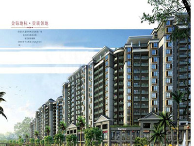 红树东方-1