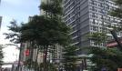 中海花湾壹号