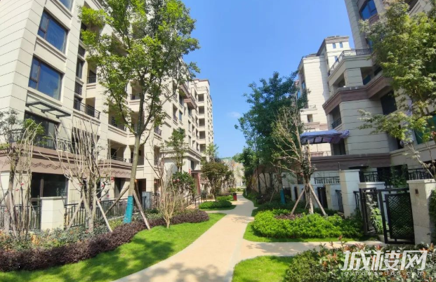 高层价住墅境洋房?贵阳首开紫郡现房新品出炉