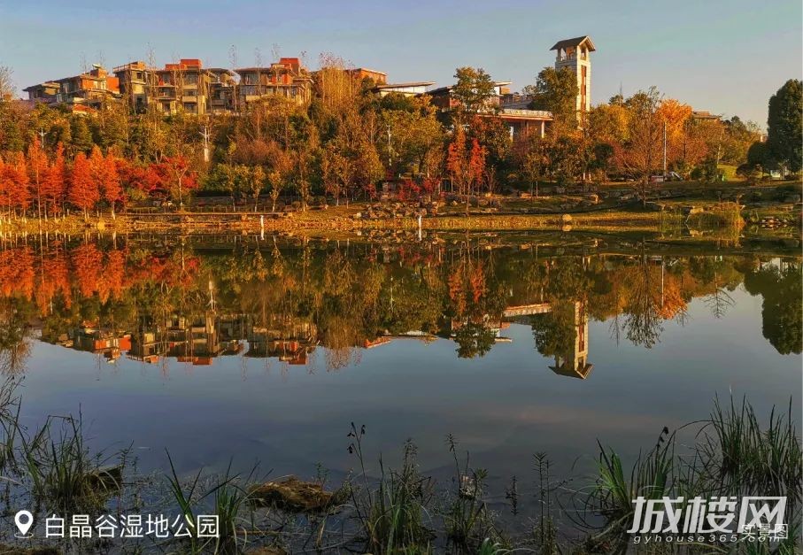 中铁国际生态城|以生态为本,蓄力打造大健康产业先行示范区