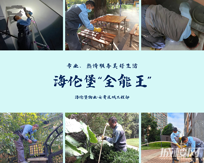 海伦堡“全能王”,用专业和热情服务美好生活