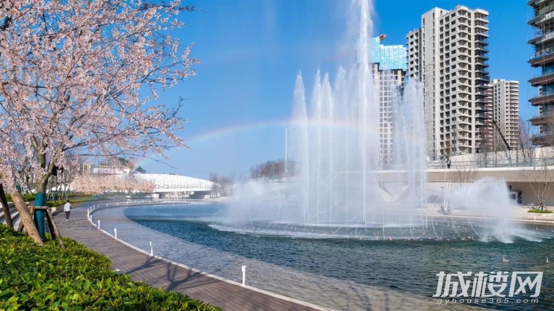 有个“巨樱”空降贵阳 铁建城饮马湖樱花节带你好好玩