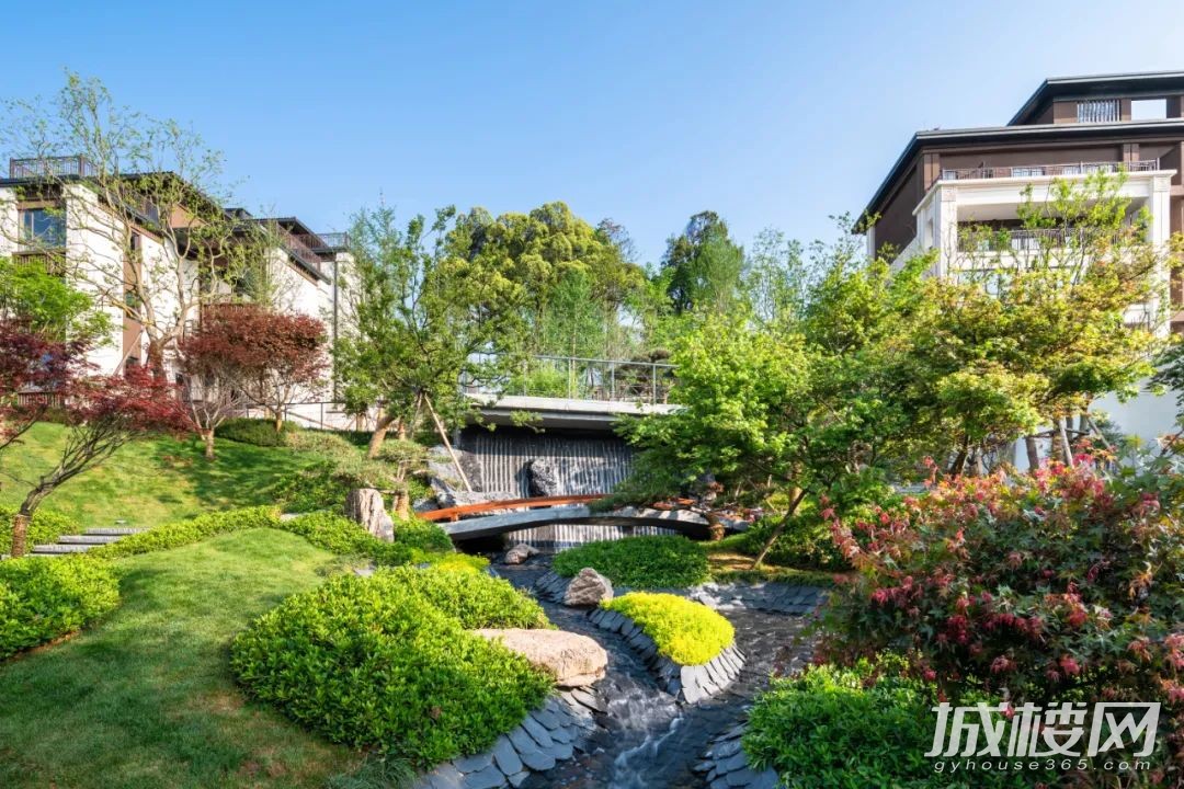 生态城墅语|白晶谷楠院255席古树藏品城墅致敬贵阳峯层
