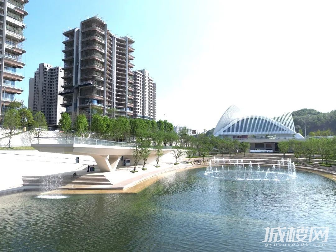 喜讯丨铁建城马术运动中心第一匹设特兰萌马宝宝出生啦