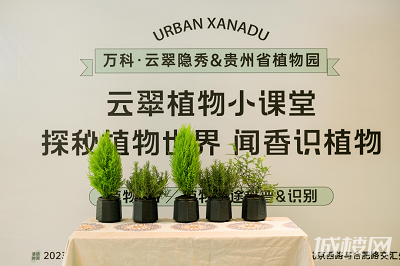 贵阳万科云翠隐秀|走进植物课堂 翻阅大自然的神奇魅力