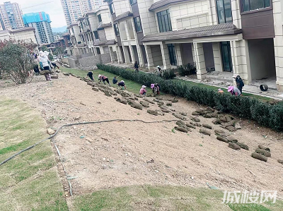 全力践行“保交付”碧桂园在贵州已交付12613套房屋