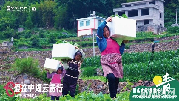 中海走进云南大关县玉碗镇 10吨玉碗青火热采购出山中