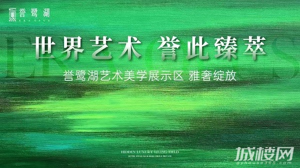 登峯贵阳 热绩斐然|誉鹭湖艺术美学展示区绽放暨盛大开盘