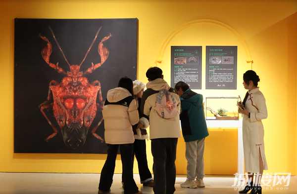 环球活体昆虫科普展在贵阳铁建城国际时尚发布中心盛大启幕