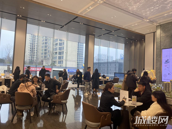 贵阳龙湖·领峯天幕奢宅新品加推 划界塔尖少数奢藏