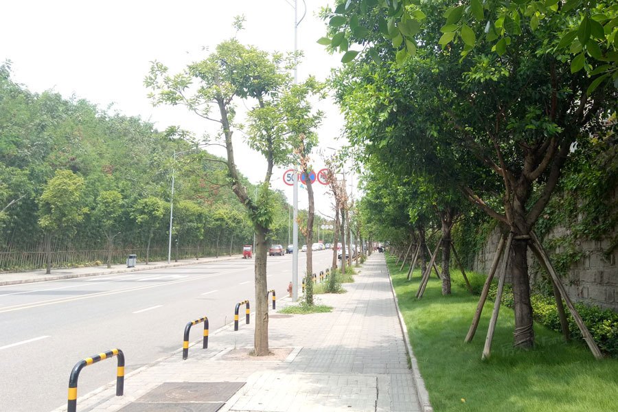 协信星麓原