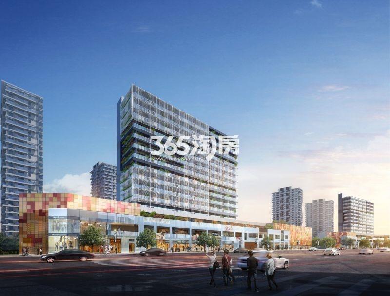万科红