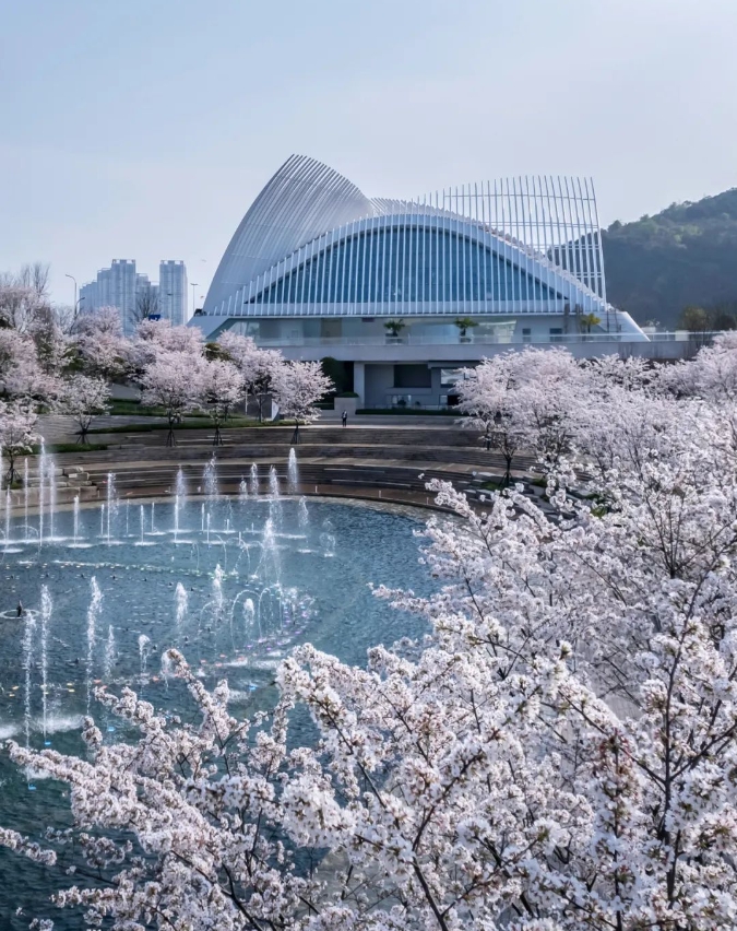 微信截图_20240319163418.png