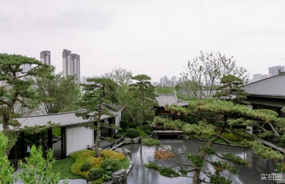 微信截图_20240611153923.jpg
